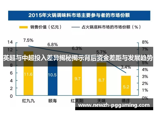 英超与中超投入差异揭秘揭示背后资金差距与发展趋势