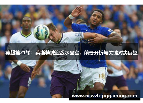 英超第21轮:莱斯特城迎战水晶宫,前景分析与关键对决展望 英超第21轮:莱斯特城迎战水晶宫,前景分析与关键对决展望