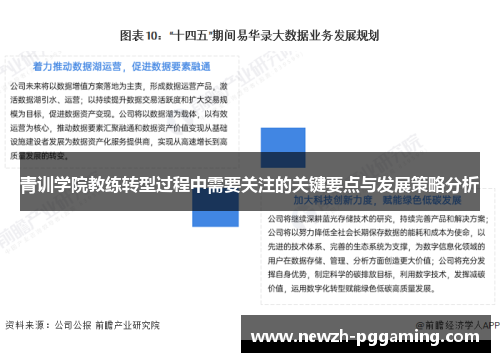 青训学院教练转型过程中需要关注的关键要点与发展策略分析