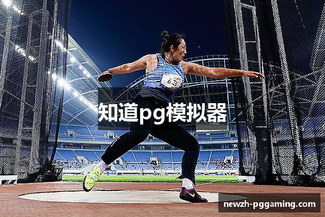 知道pg模拟器